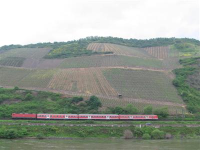 Massive hillside vineyards with a train passing in front