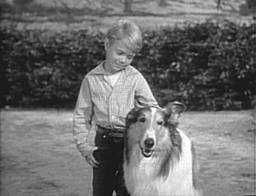 Timmy and Lassie