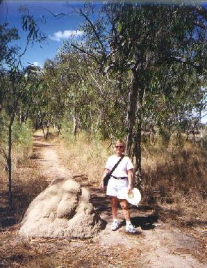 Termite Mound