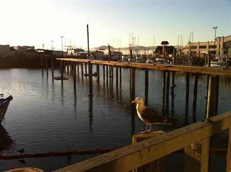 The waterfront as the sun sets