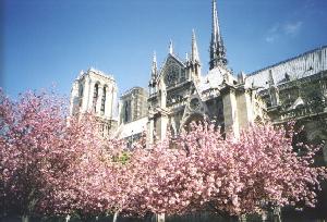 Notre Dame.