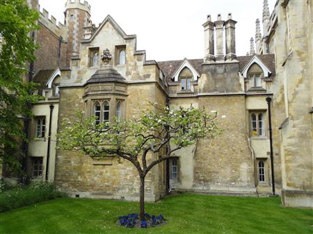 Cambridge College Buildings