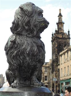 Greyfriar's Bobby