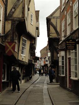 The Shambles