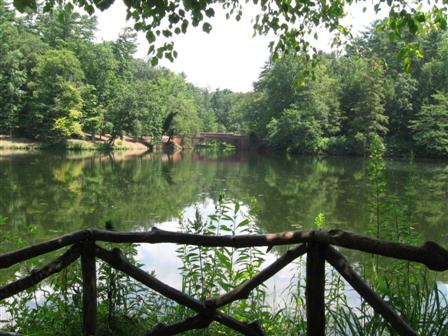 Pond from walking trail