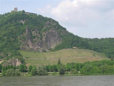 Vineyards rising to the mountain