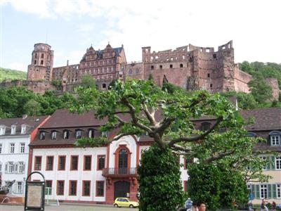 The castle Schloss rises above the town
