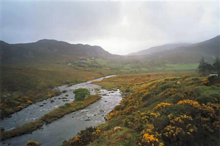 Ring of Kerry Stream Scene